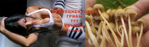 каннабис Алексеевка