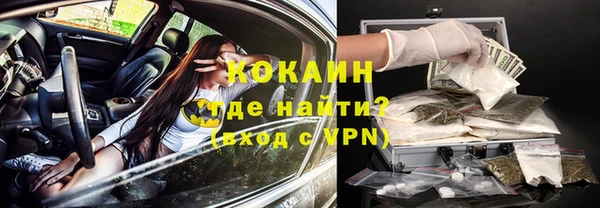прущие грибы Абдулино