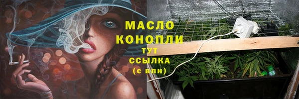 прущие грибы Абдулино