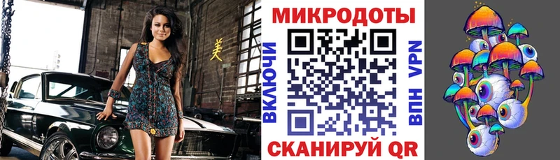 наркошоп  Горбатов  Галлюциногенные грибы Psilocybe 